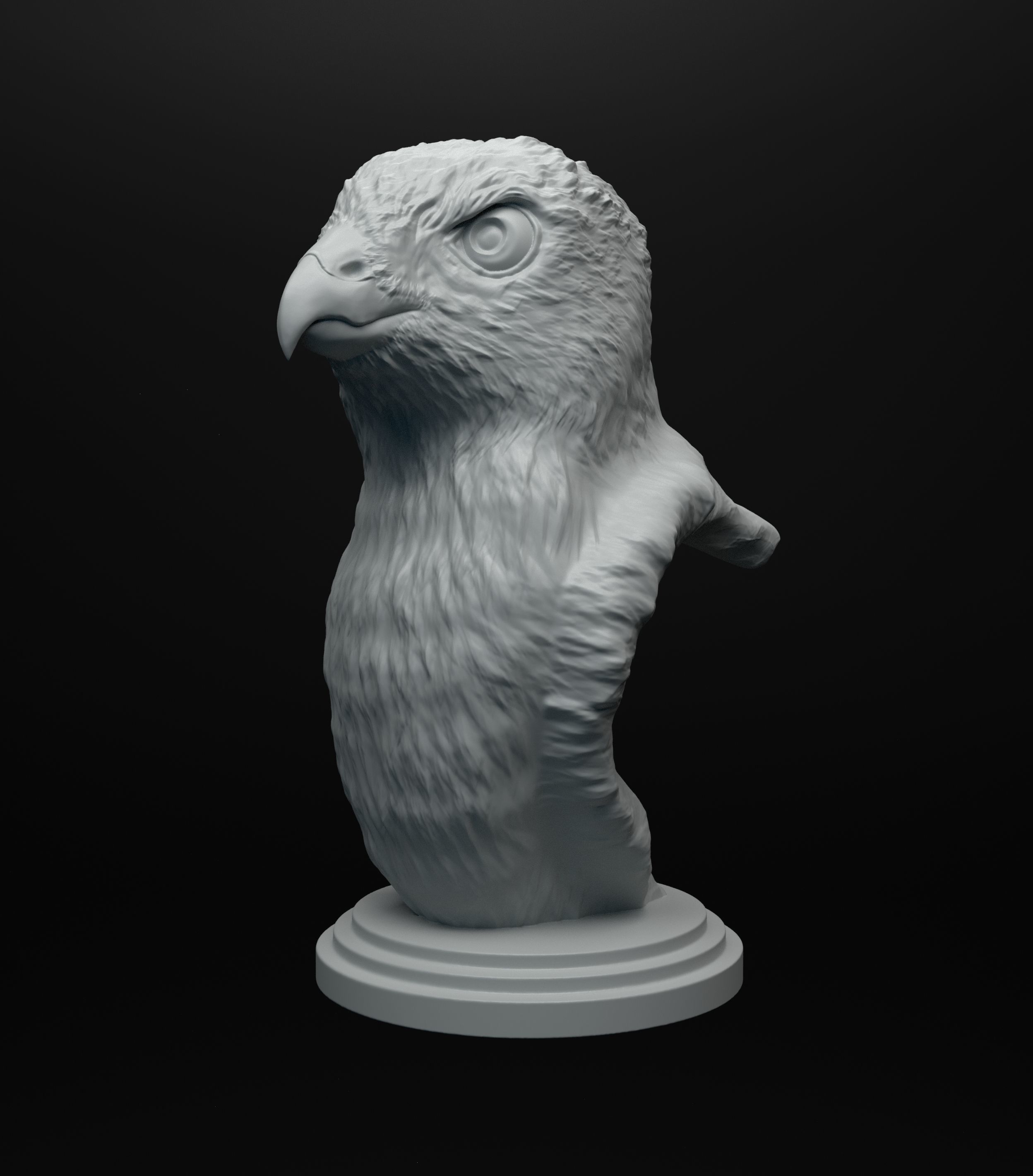 Hawk bust intended for 3D printing 3D print model_4