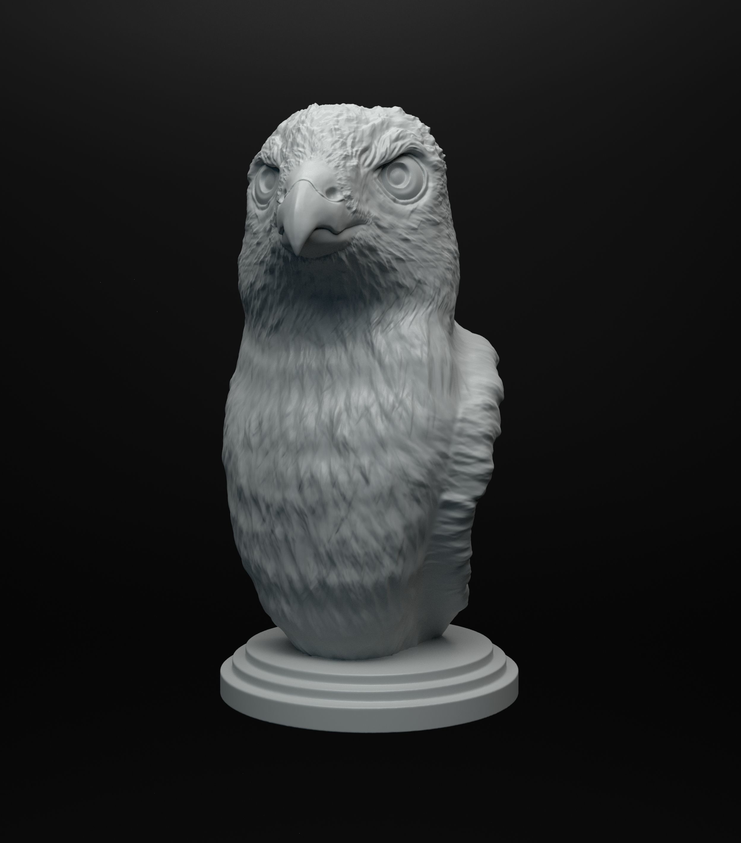 Hawk bust intended for 3D printing 3D print model_3