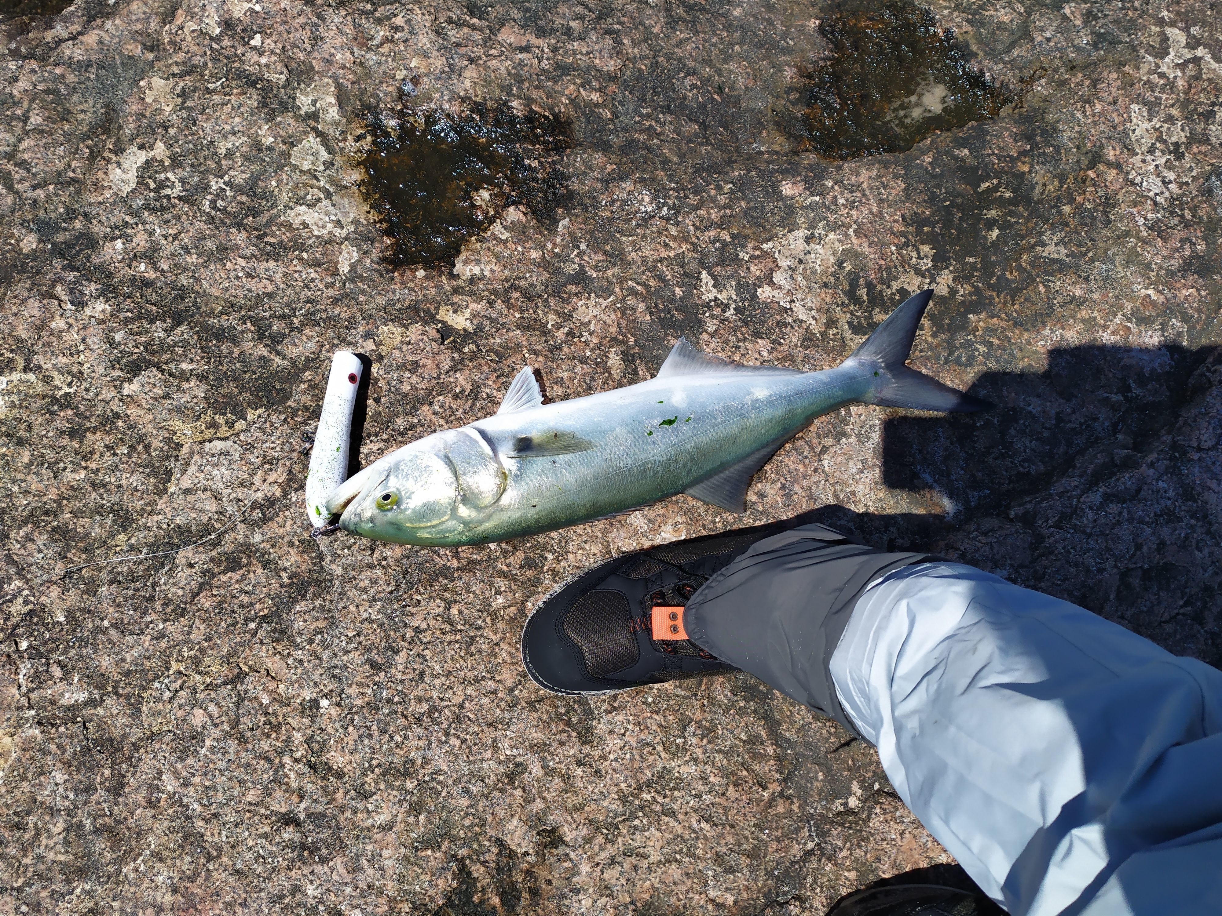 Topwater popper plug fishing lure Free 3D print model_8