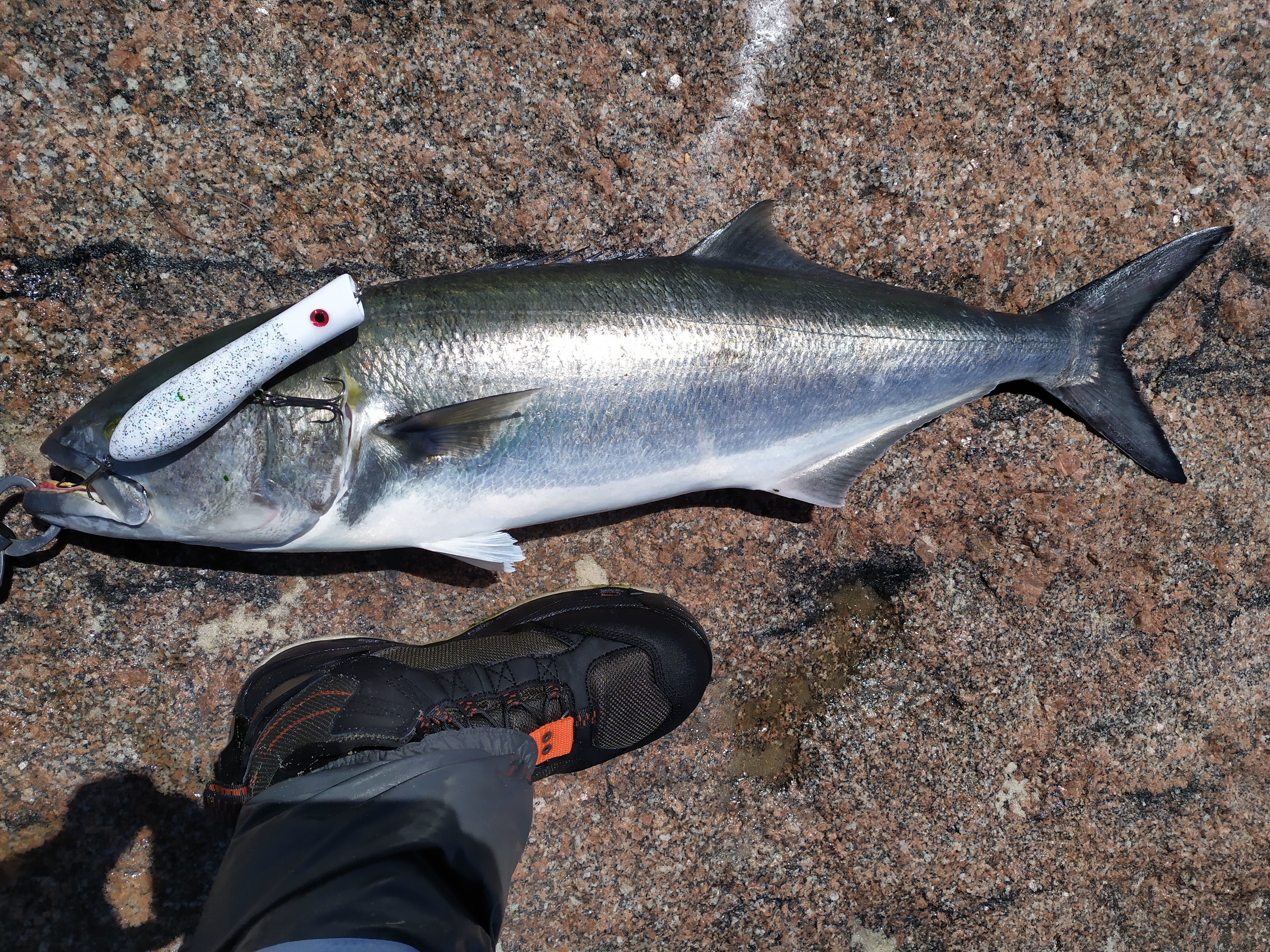 Topwater popper plug fishing lure Free 3D print model_7