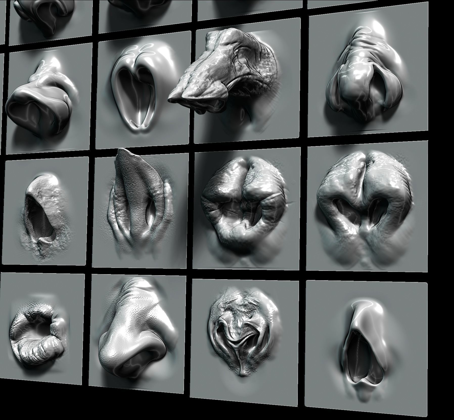 NOSES - 25 ZBrush VDM 3D model_3
