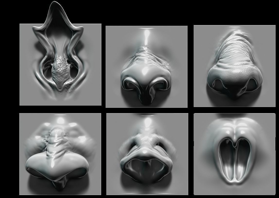 NOSES - 25 ZBrush VDM 3D model_6