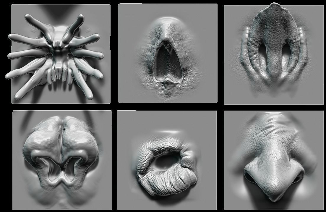 NOSES - 25 ZBrush VDM 3D model_8