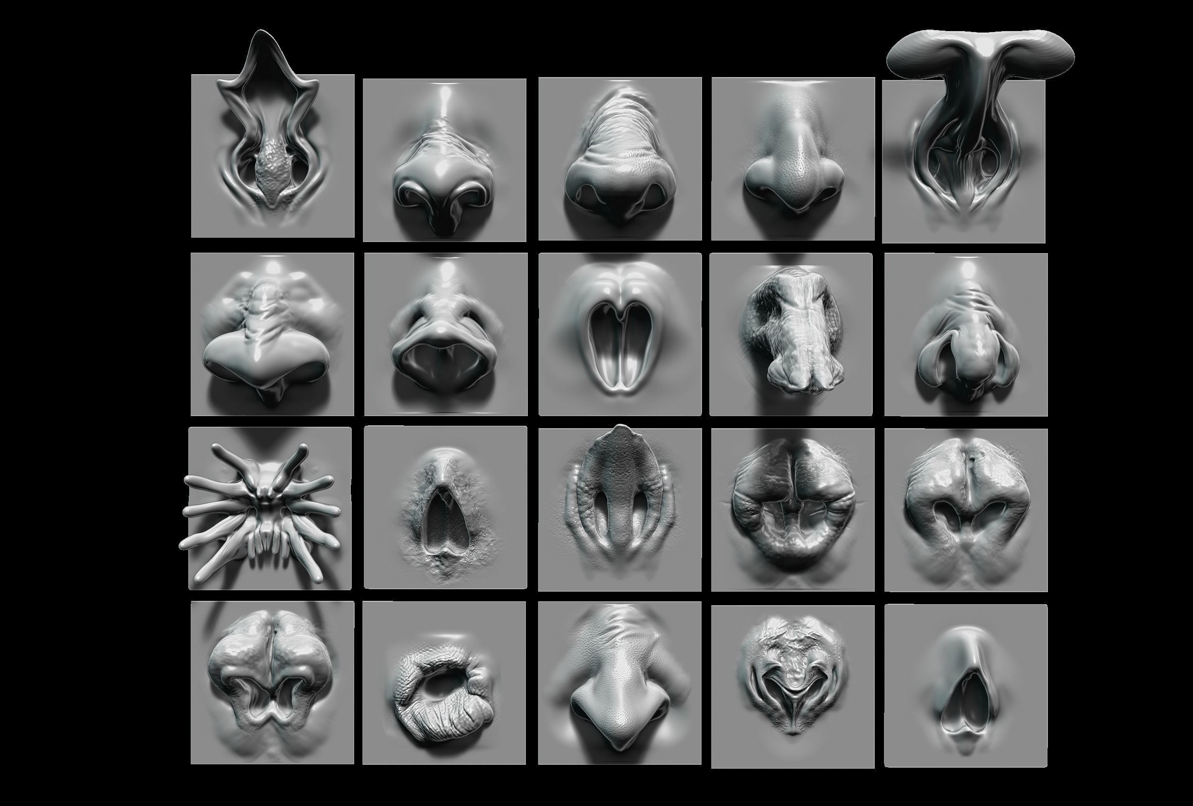 NOSES - 25 ZBrush VDM 3D model_1