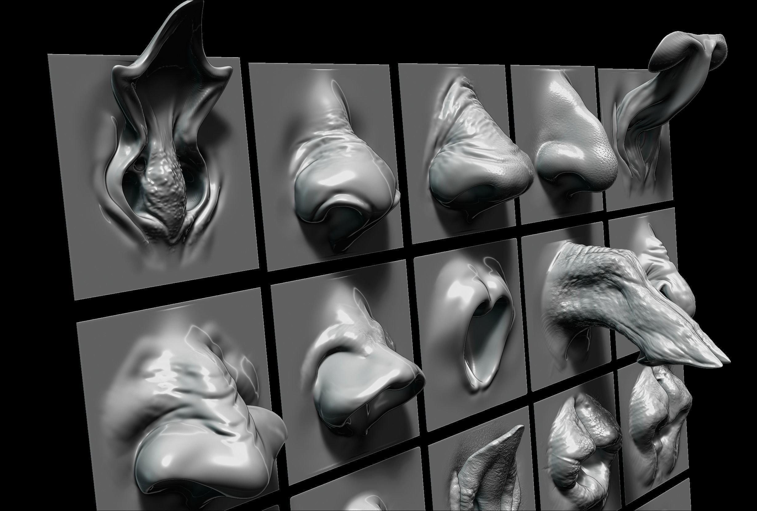 NOSES - 25 ZBrush VDM 3D model_4