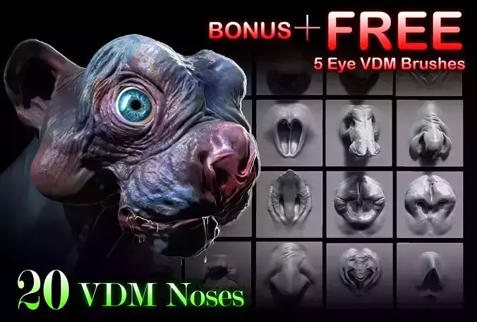 NOSES - 25 ZBrush VDM 3D model