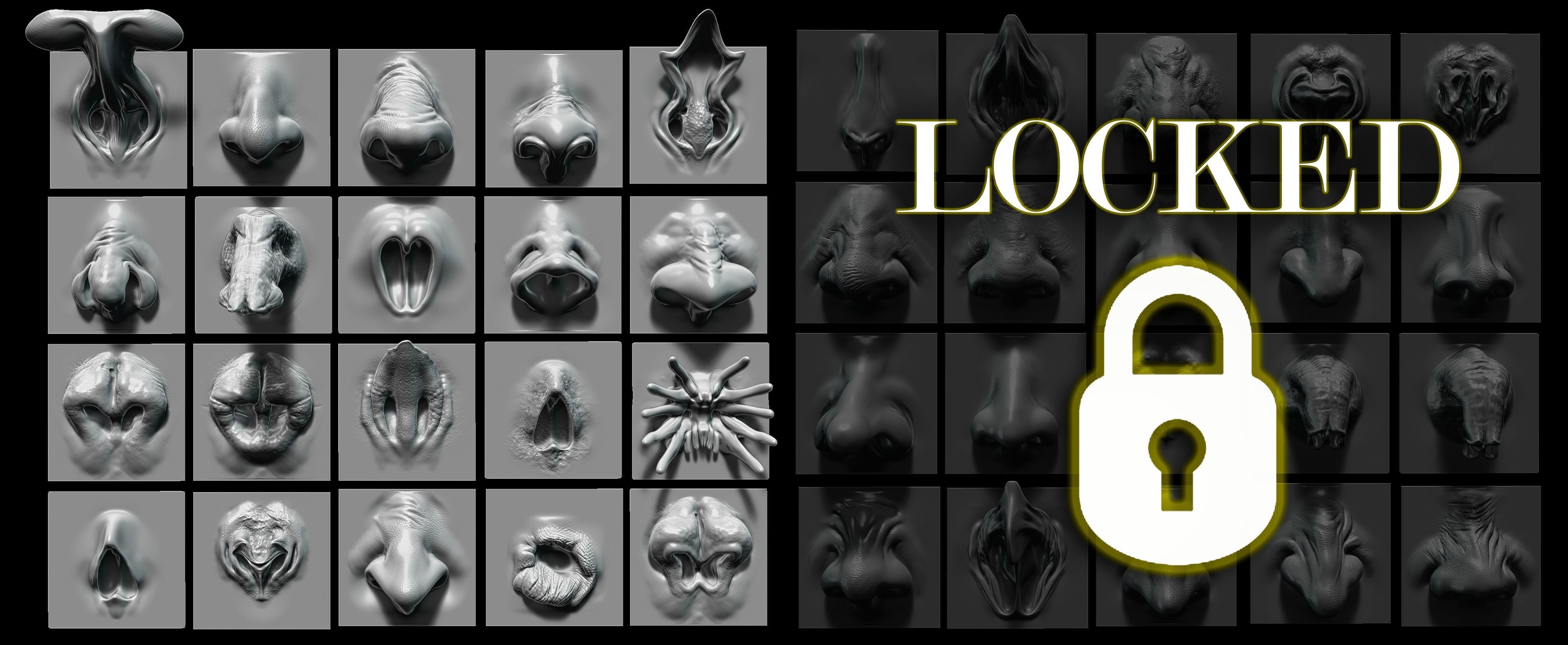 NOSES - 25 ZBrush VDM 3D model_2
