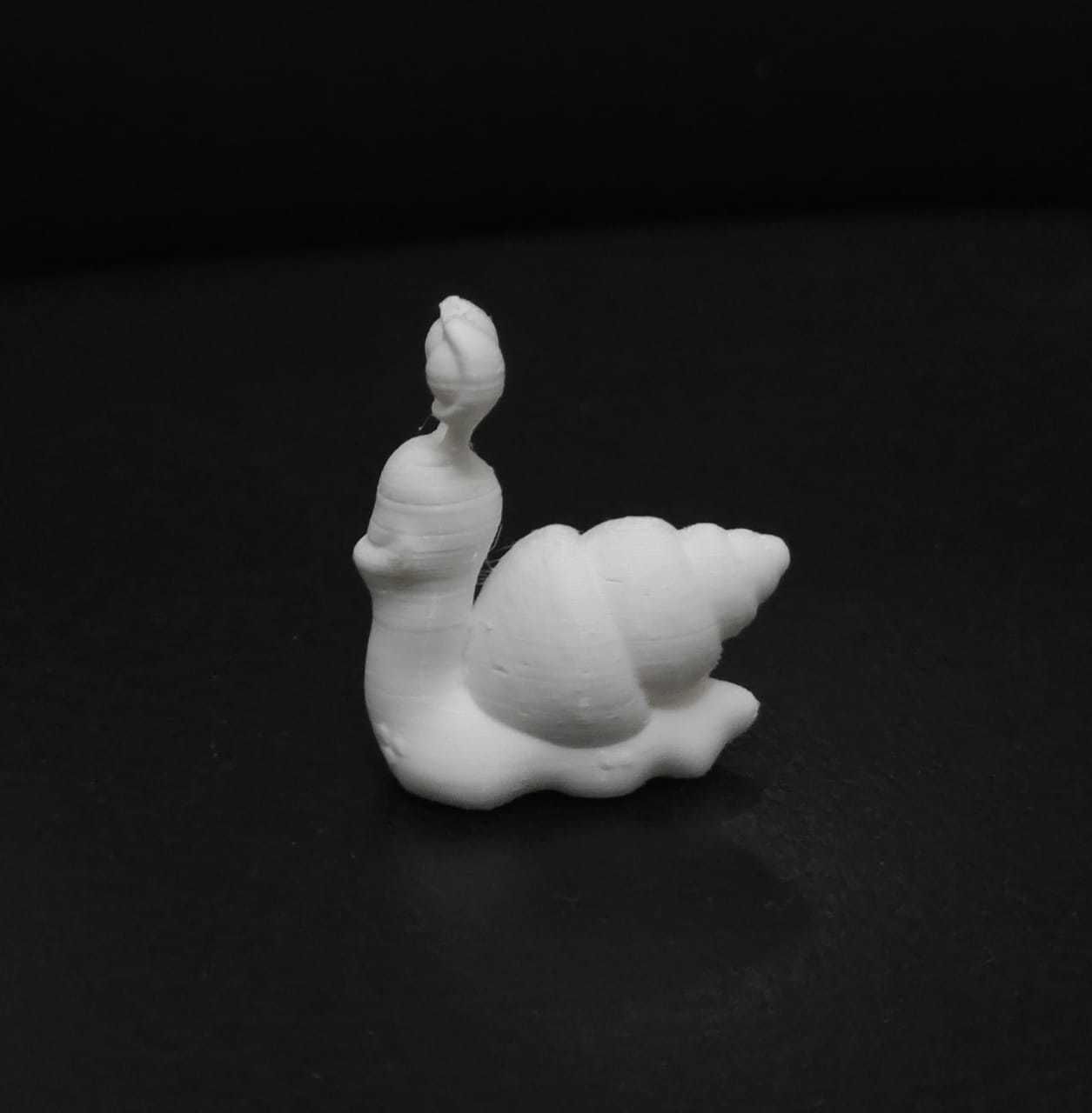 Funny Snail 3D print model_6