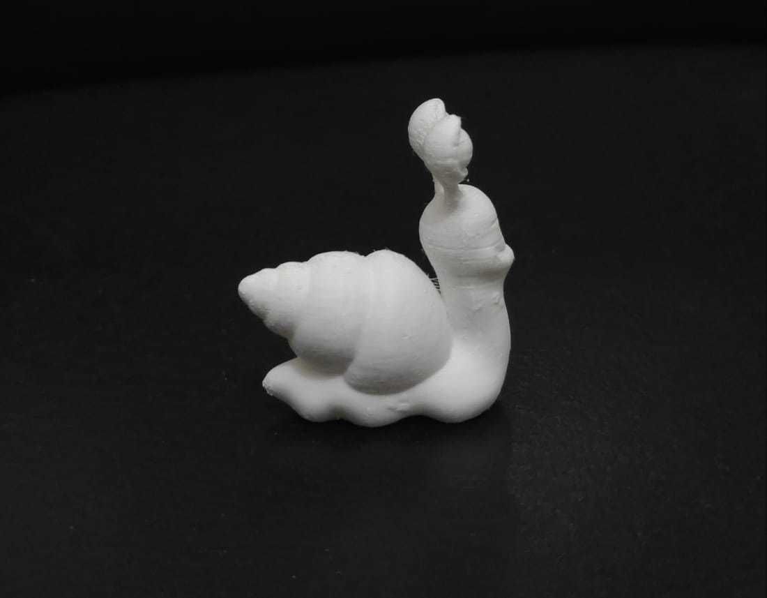 Funny Snail 3D print model_8
