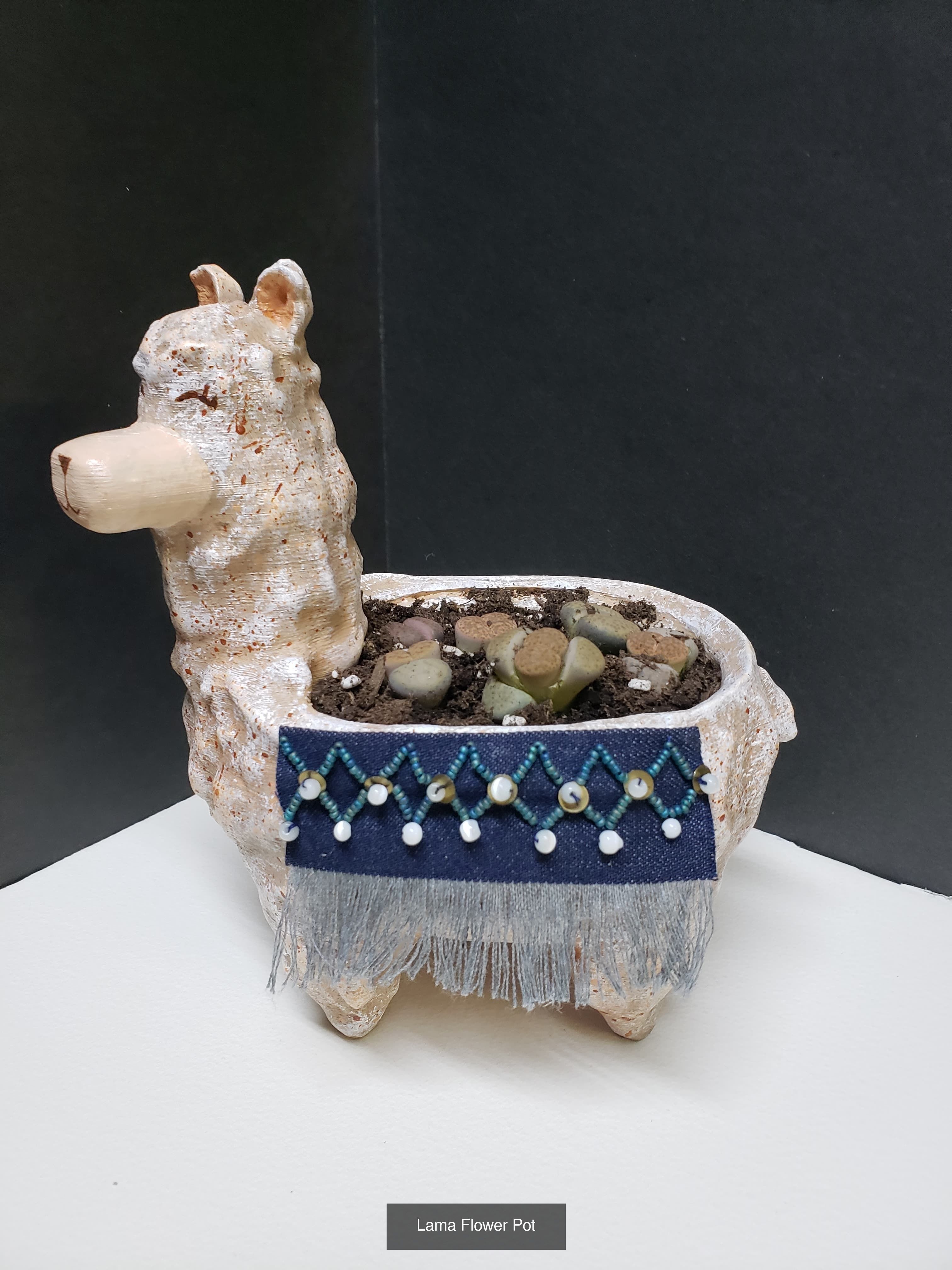 Modern and Artistic Flower Pot Bundle 3D Model Collection_2