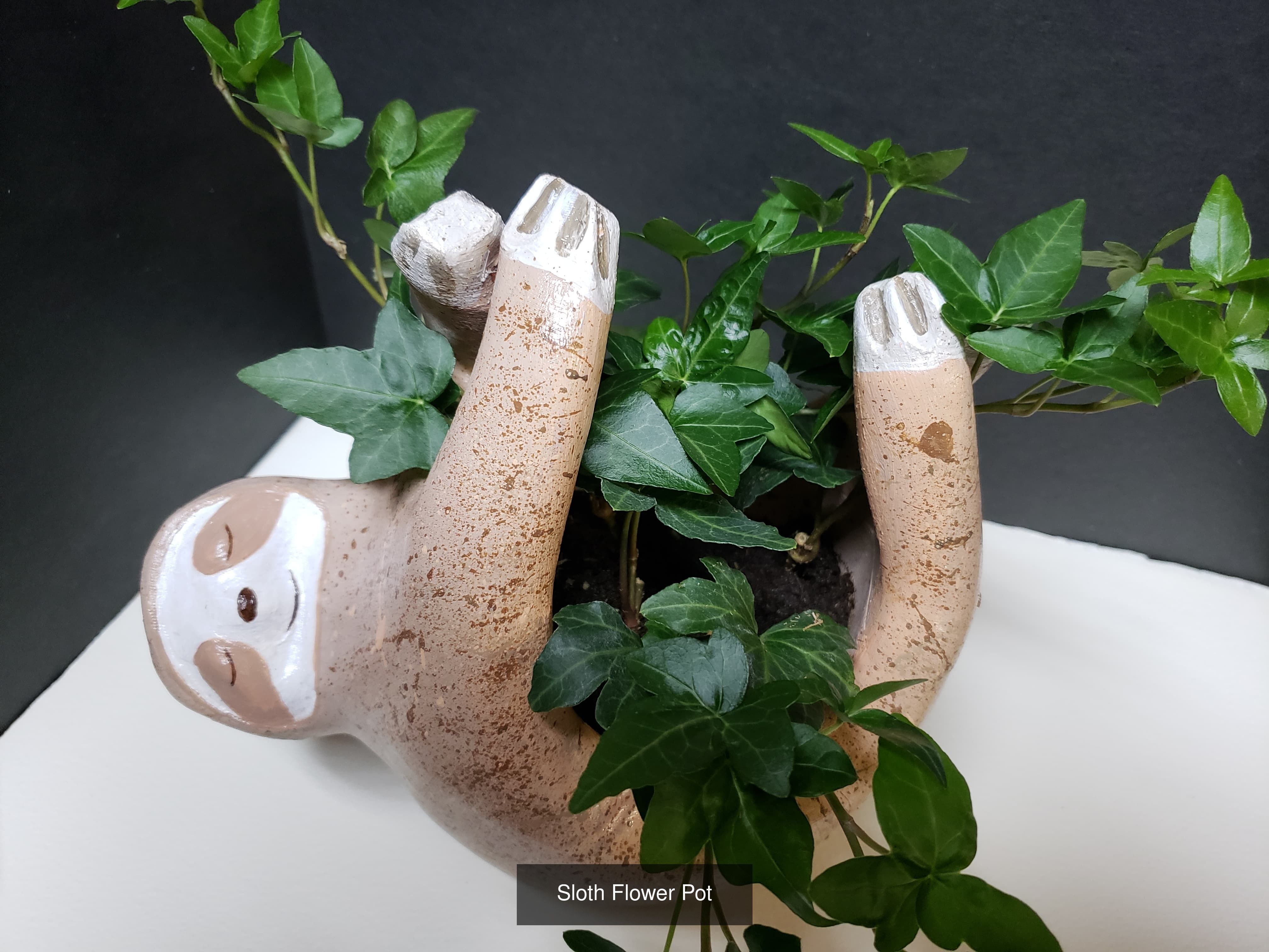 Modern and Artistic Flower Pot Bundle 3D Model Collection_1