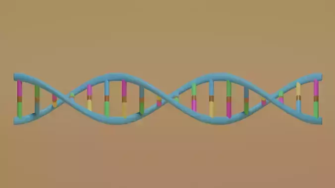 Cartoon DNA Low-poly 3D model