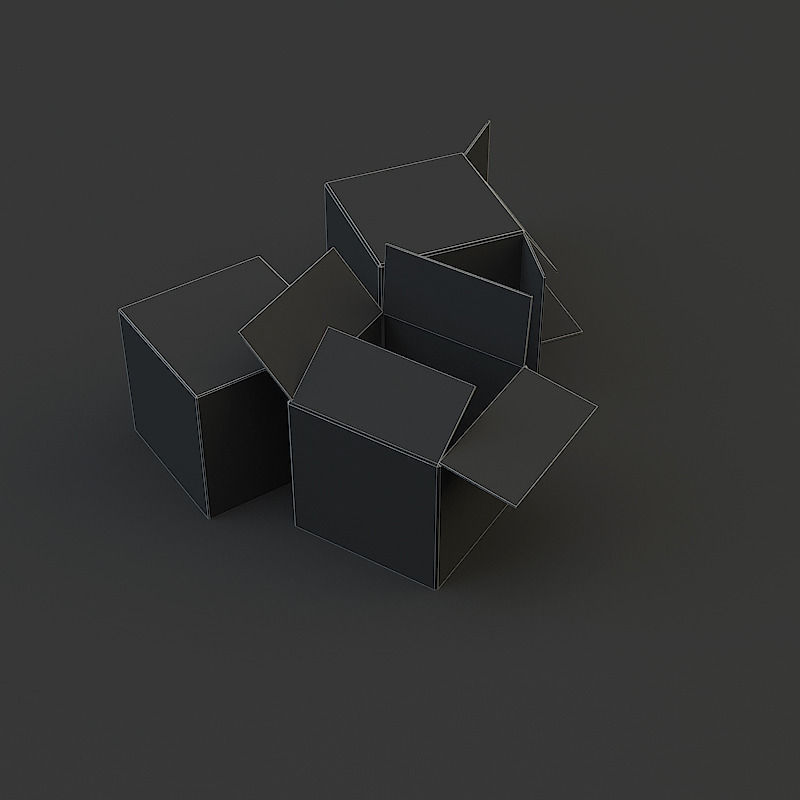 Cardboard Box 3D model_4
