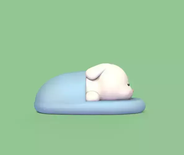 Bunny Sleeping in the Slippers 3D print model