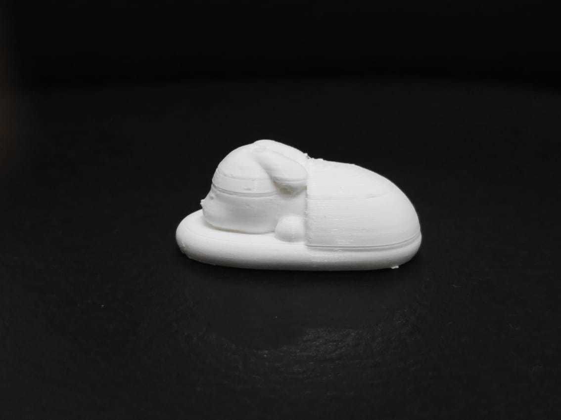 Bunny Sleeping in the Slippers 3D print model_10