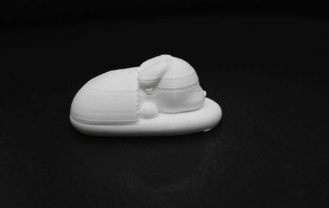 Bunny Sleeping in the Slippers 3D print model_4