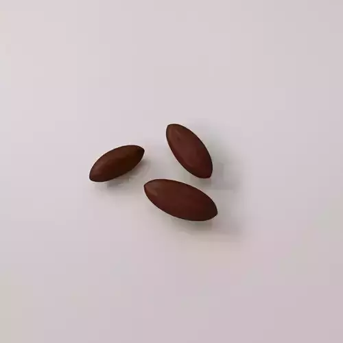Coffee Bean 3D model