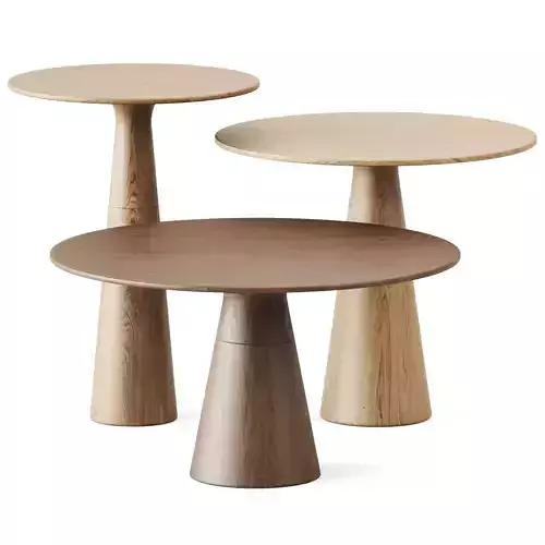 Wooden Leaf Coffee Tables by Neutra