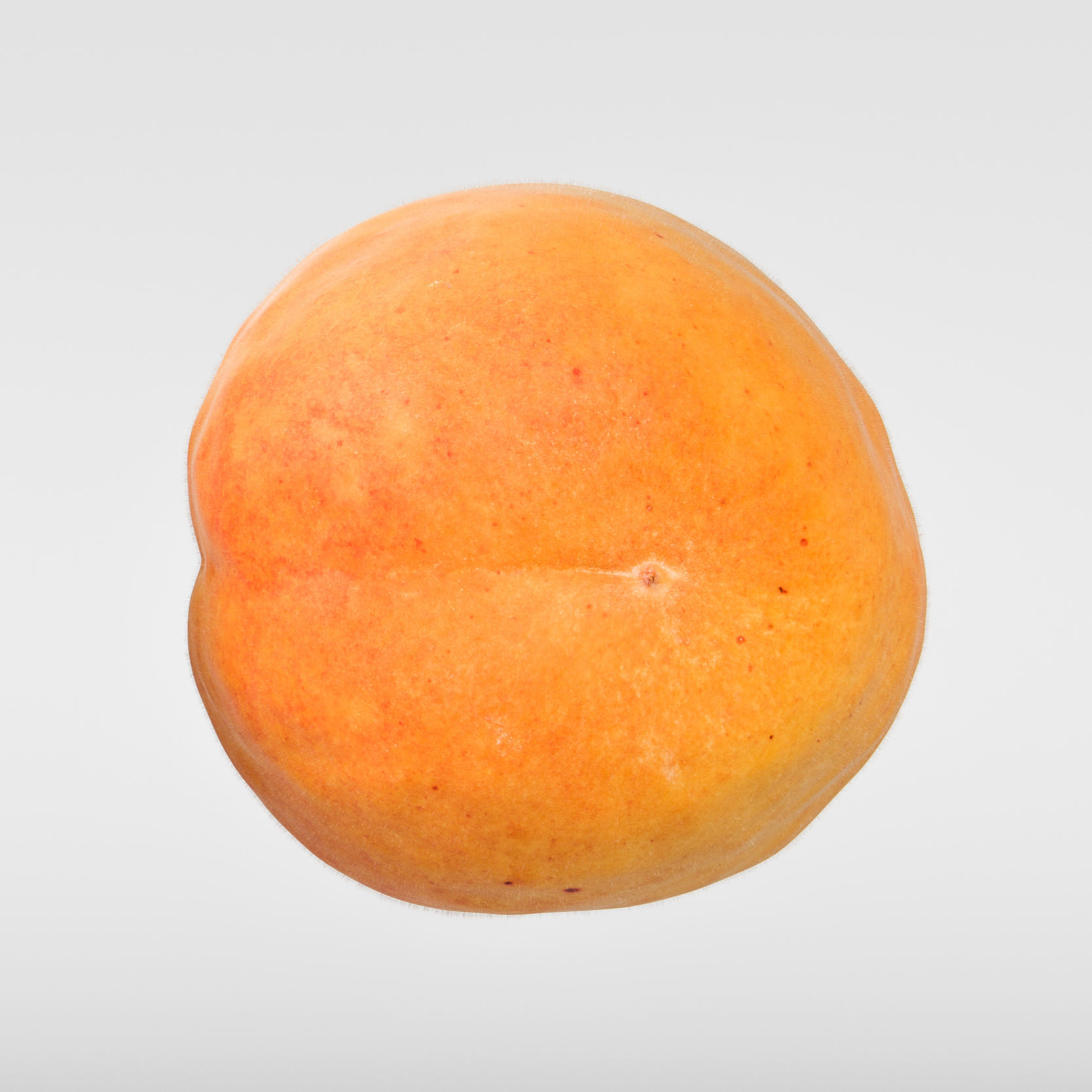 Apricot 3D model_7