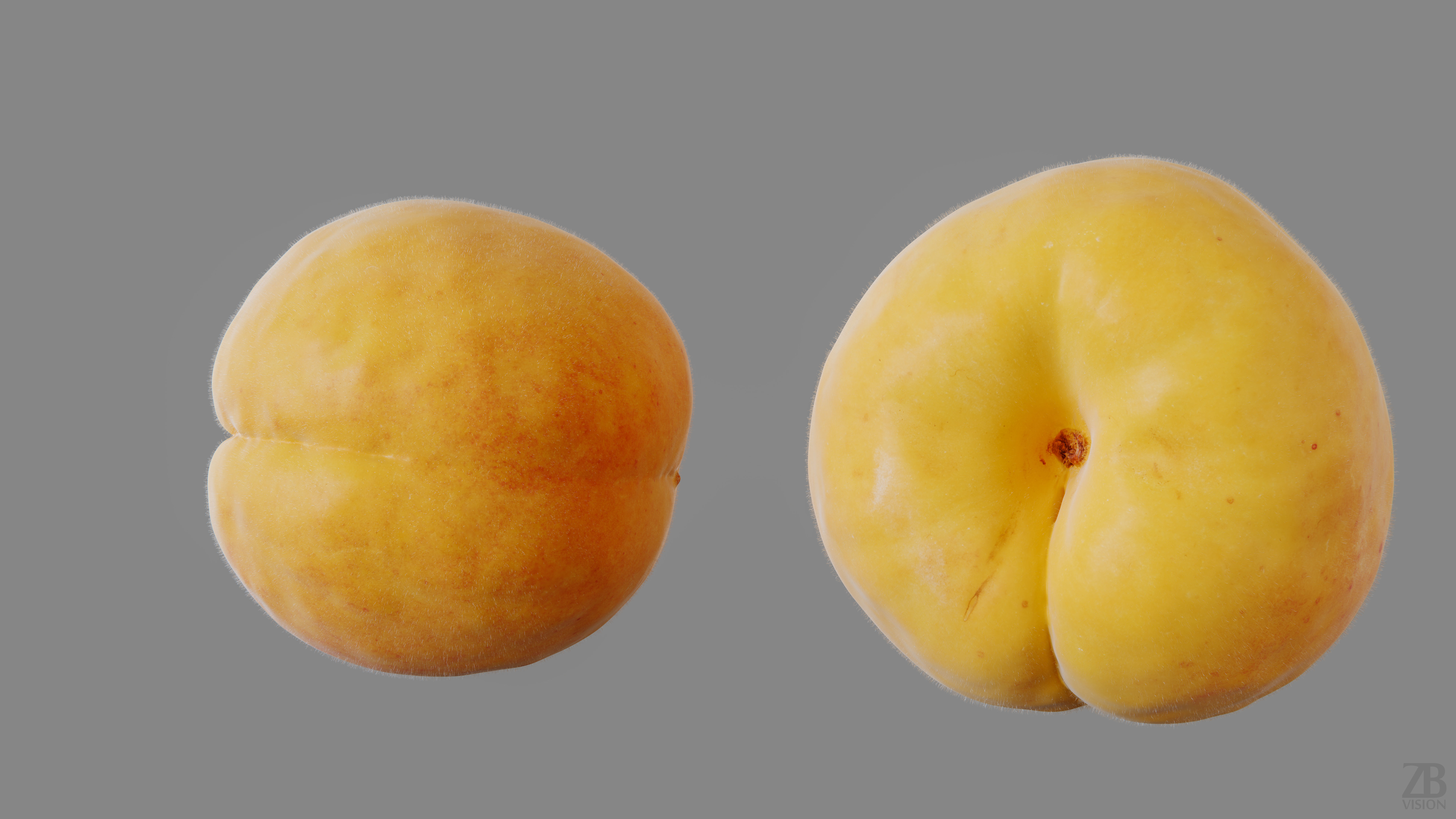 Apricot 3D model_13