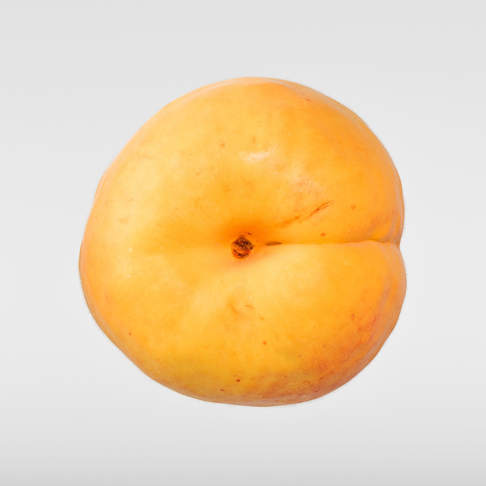 Apricot 3D model_6