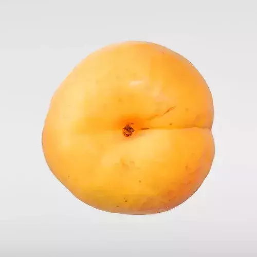 Apricot Low-poly 3D model 7