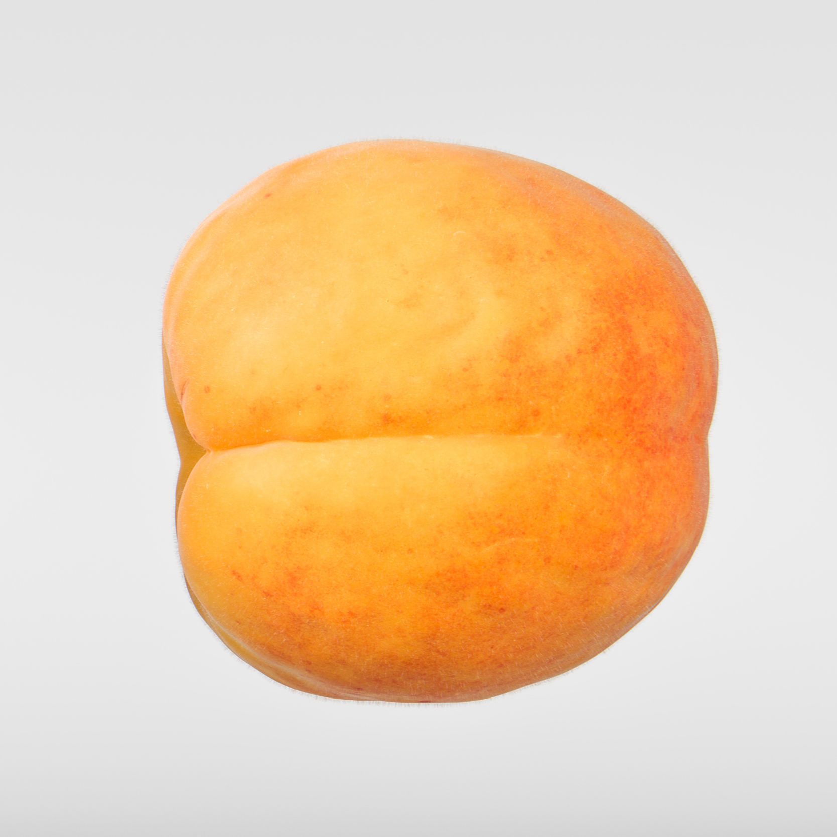 Apricot 3D model_8