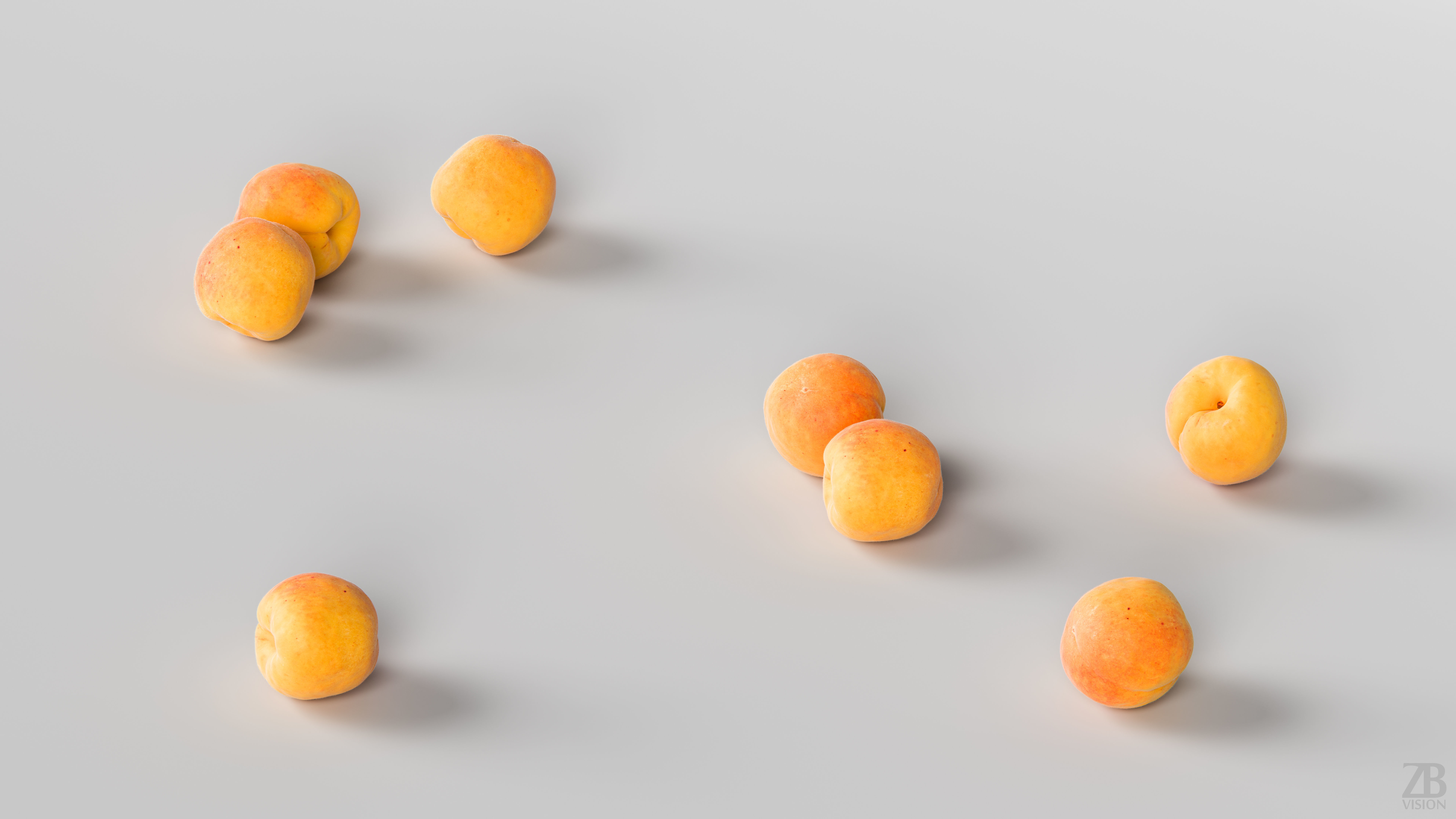 Apricot 3D model_2