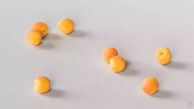 Apricot Low-poly 3D model 3