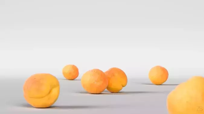 Apricot Low-poly 3D model 2