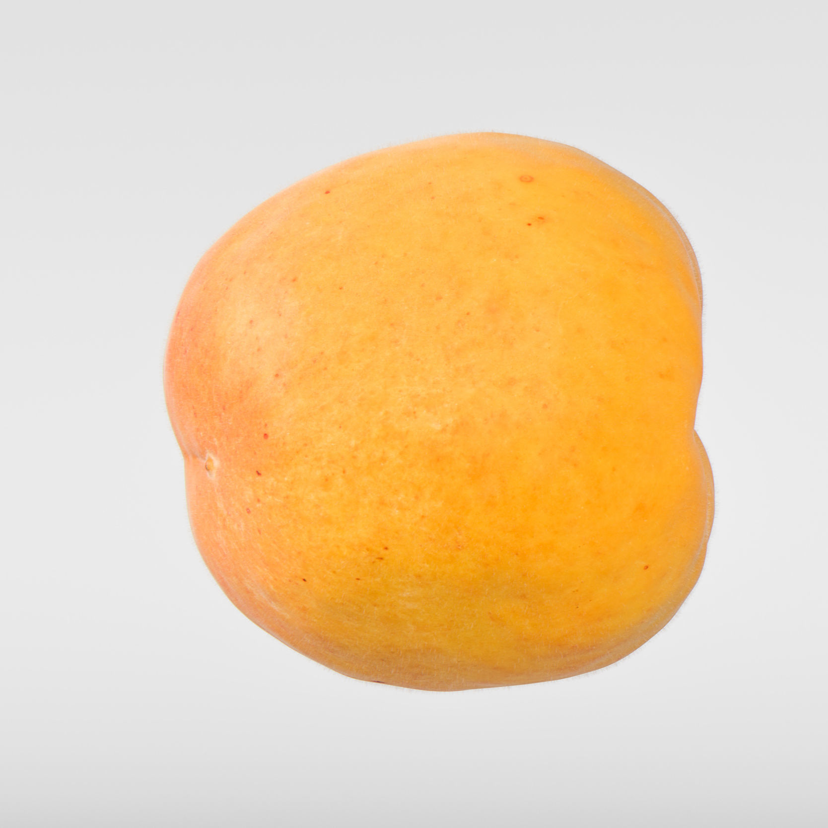 Apricot 3D model_5