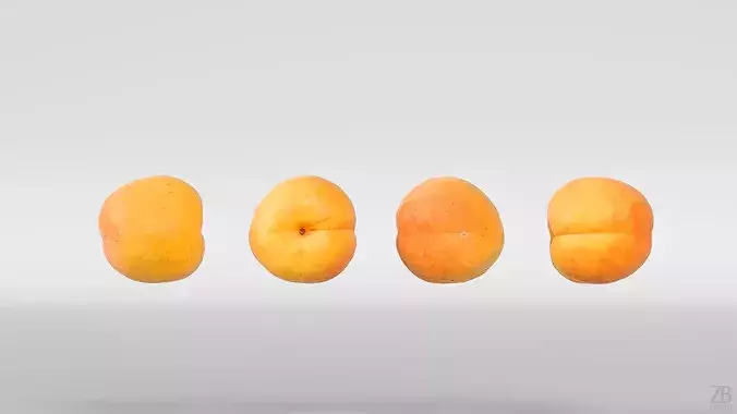 Apricot Low-poly 3D model 5