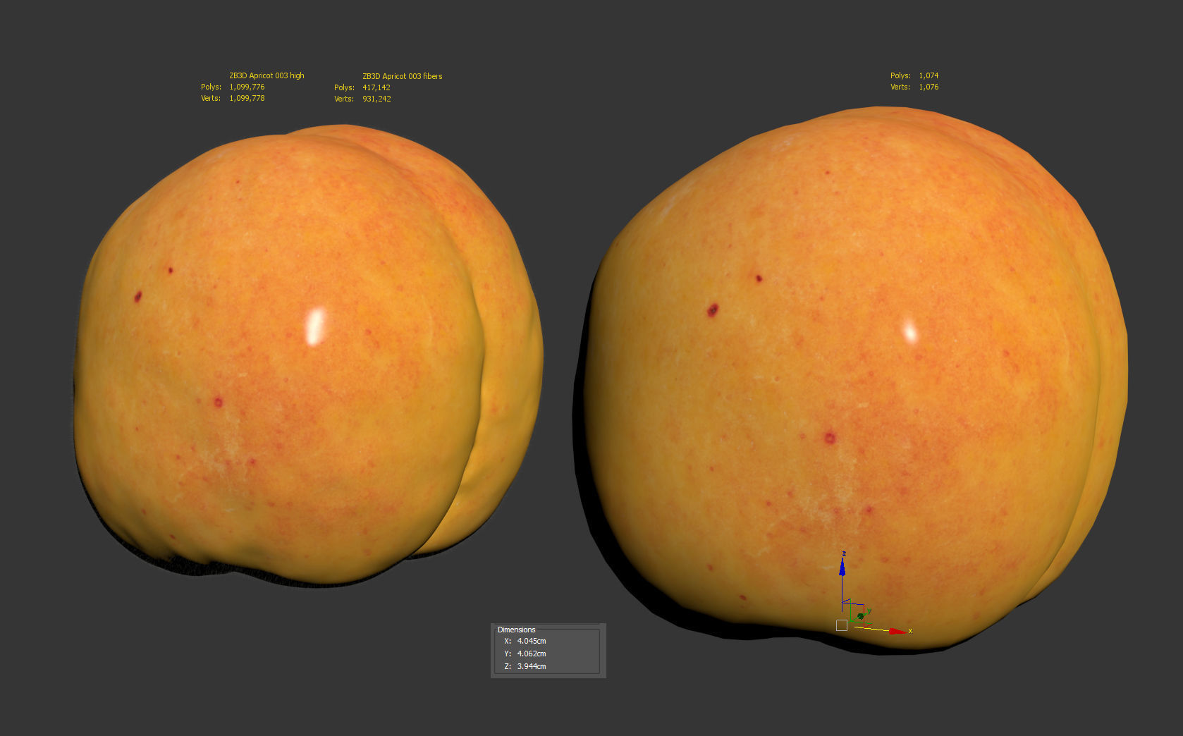 Apricot 3D model_9