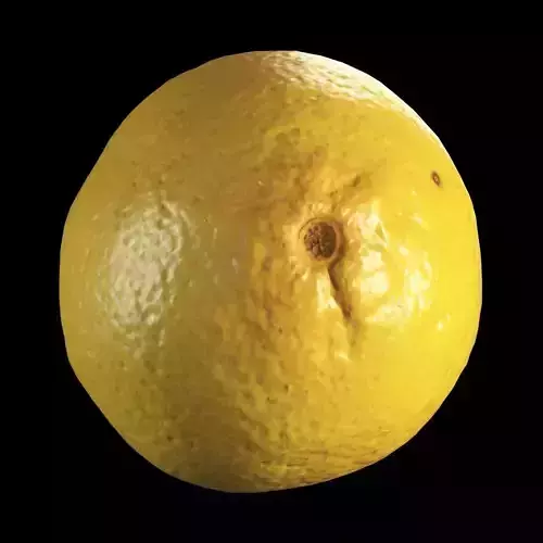 4k Lemon 3D model