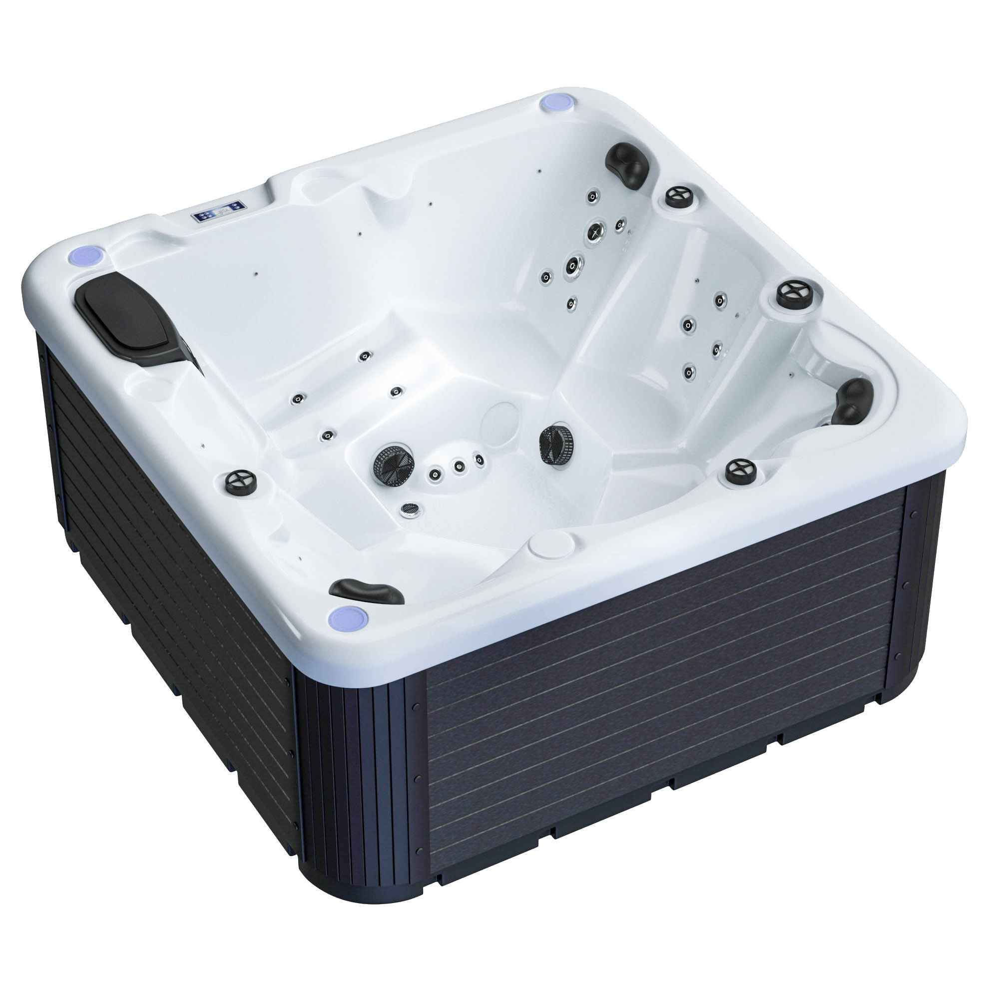 Jacuzzi Balboa SR810C T10 H06B 3D model_2
