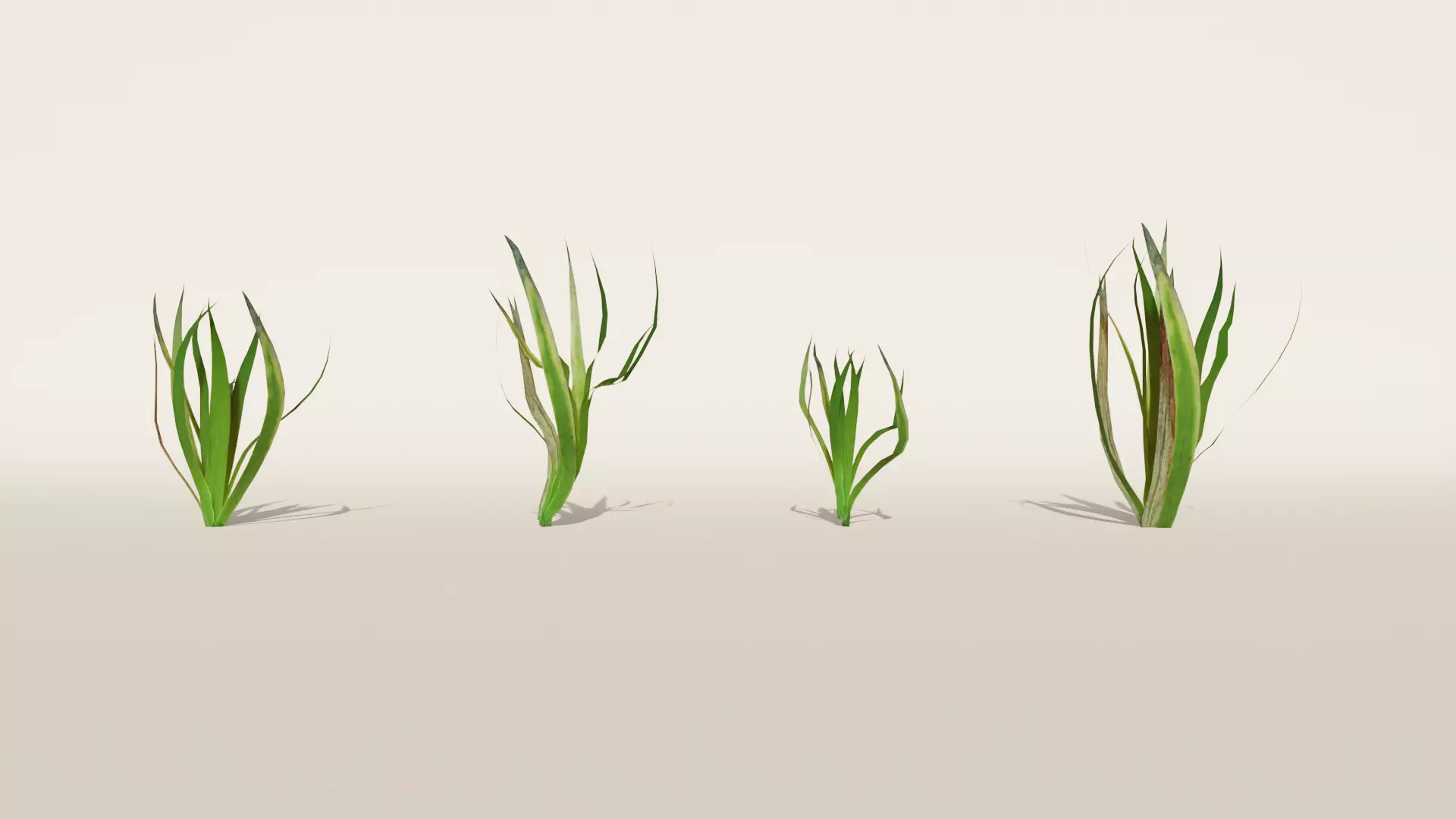 Grass Pack 3D model_0