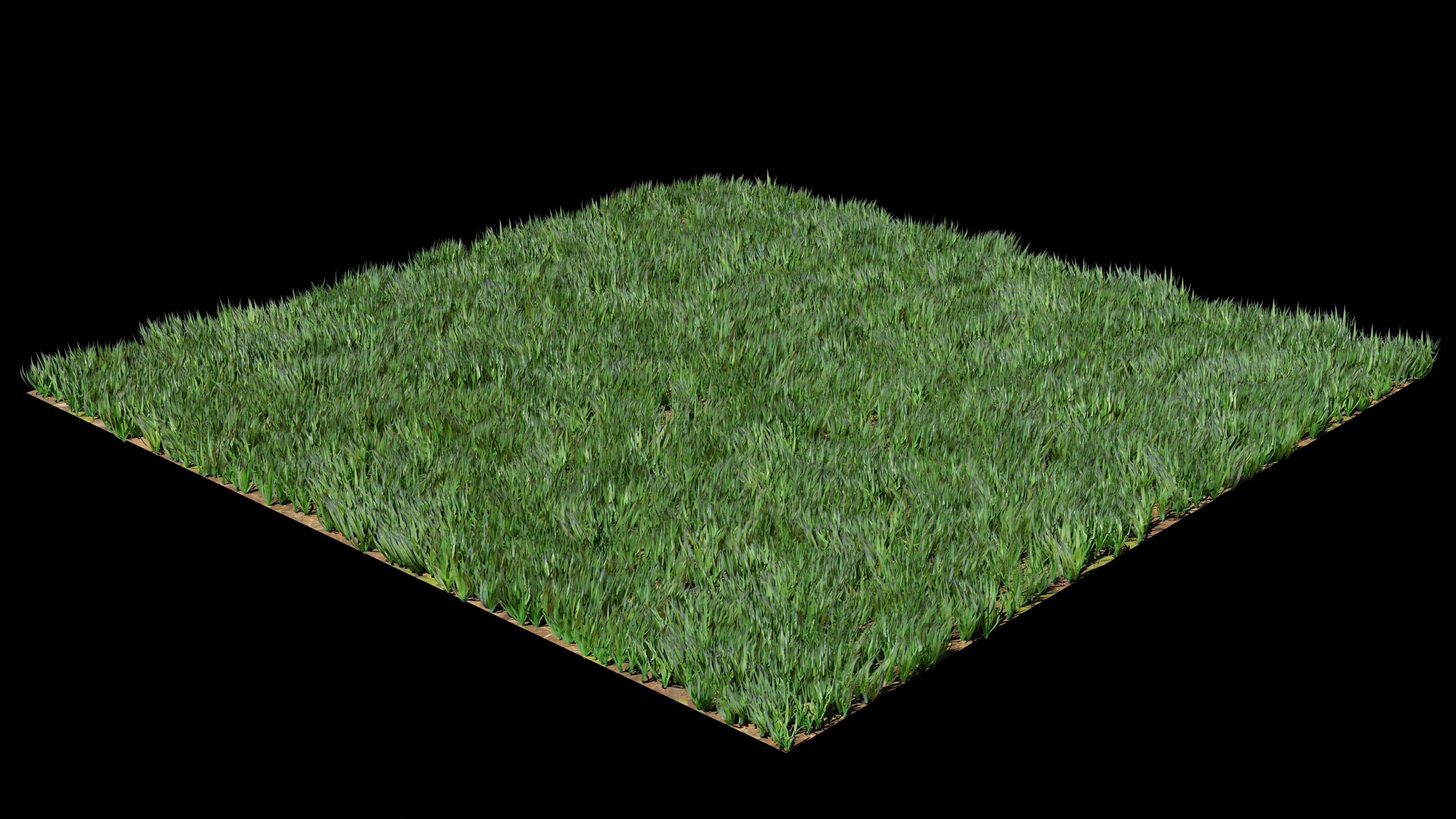 Grass Pack 3D model_3