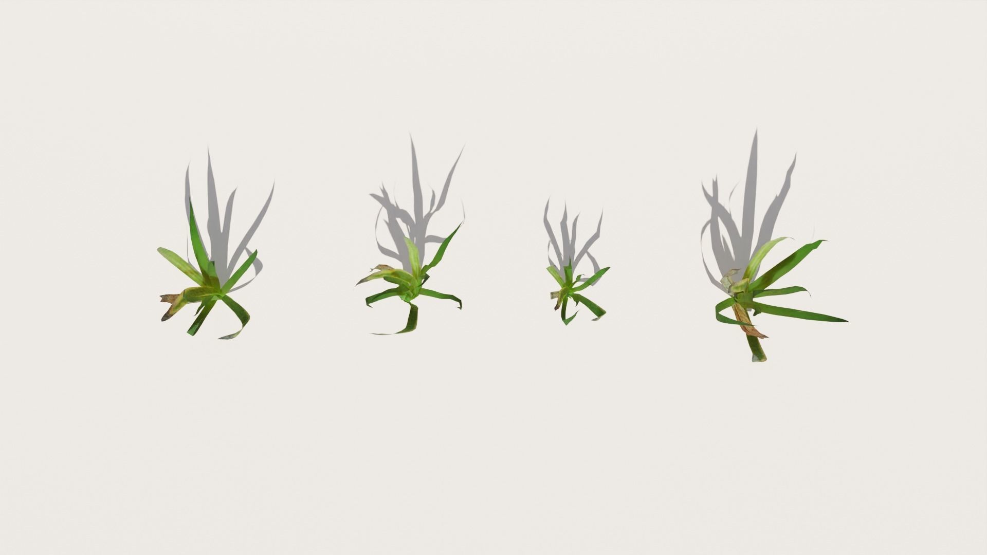 Grass Pack 3D model_1