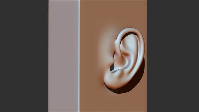 Ear 3d print model 3D print model