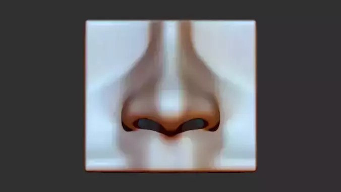 Nose 3d print model skull