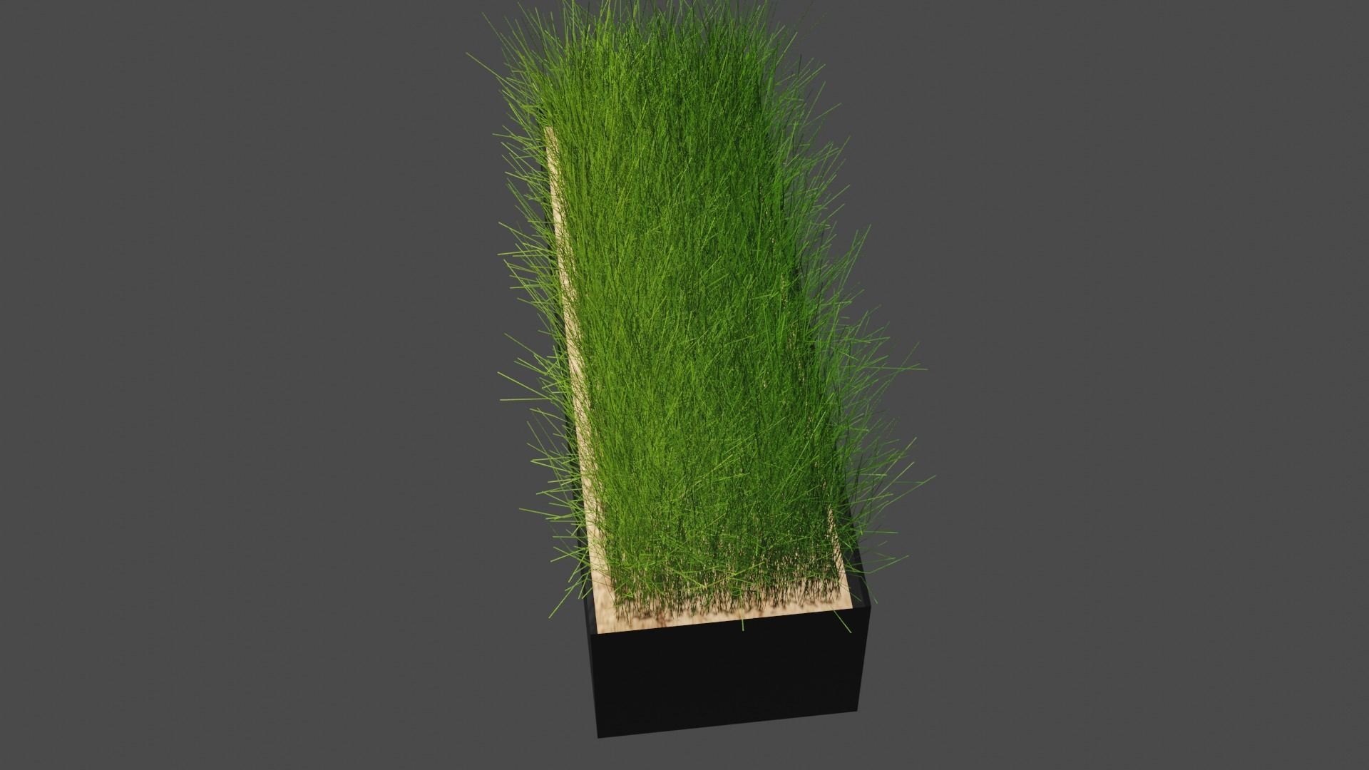 Decorative Grass 3D model_2