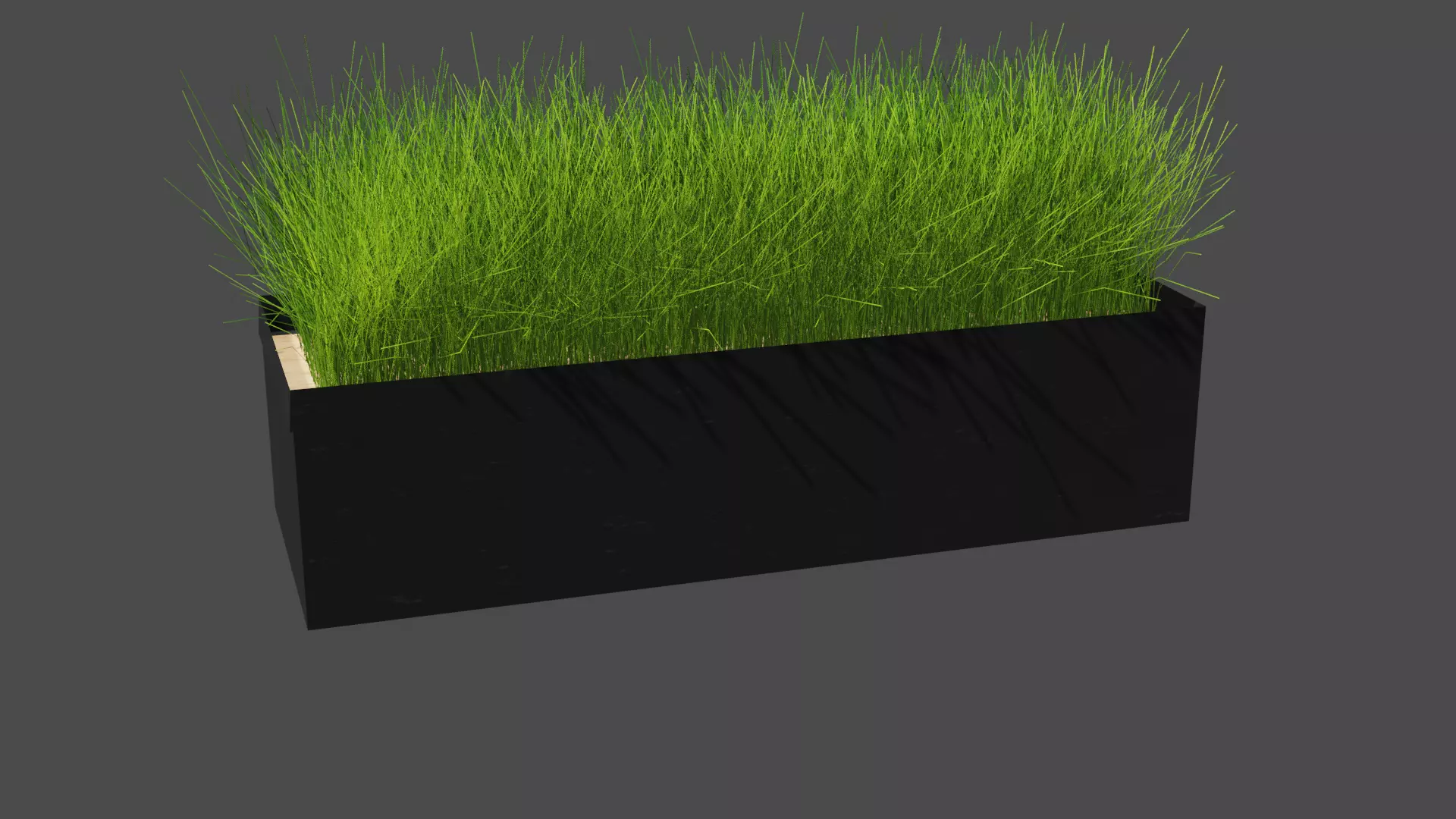 Decorative Grass 3D model_0
