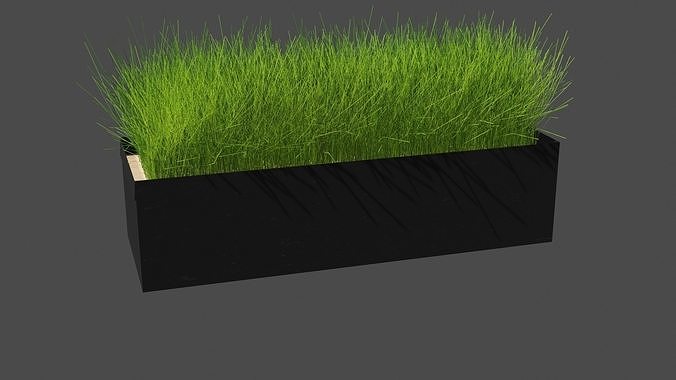 Decorative Grass 3D model