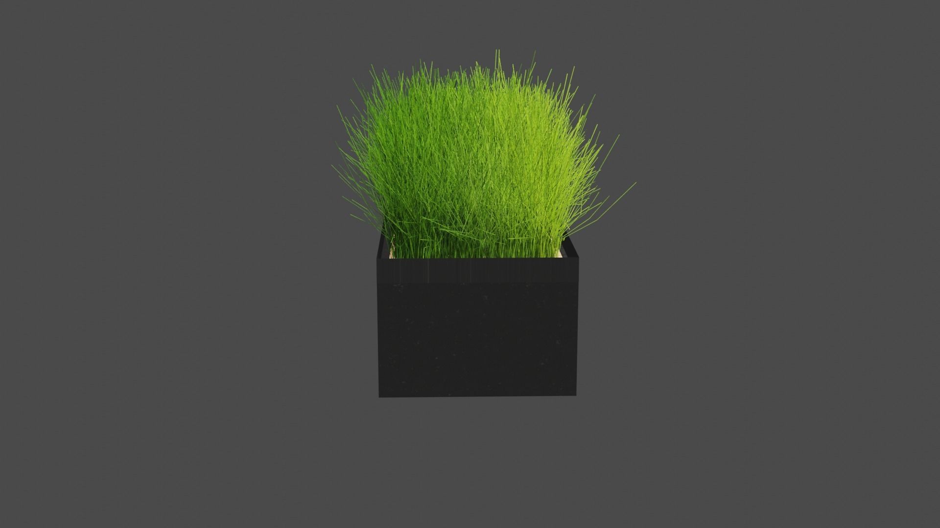 Decorative Grass 3D model_4
