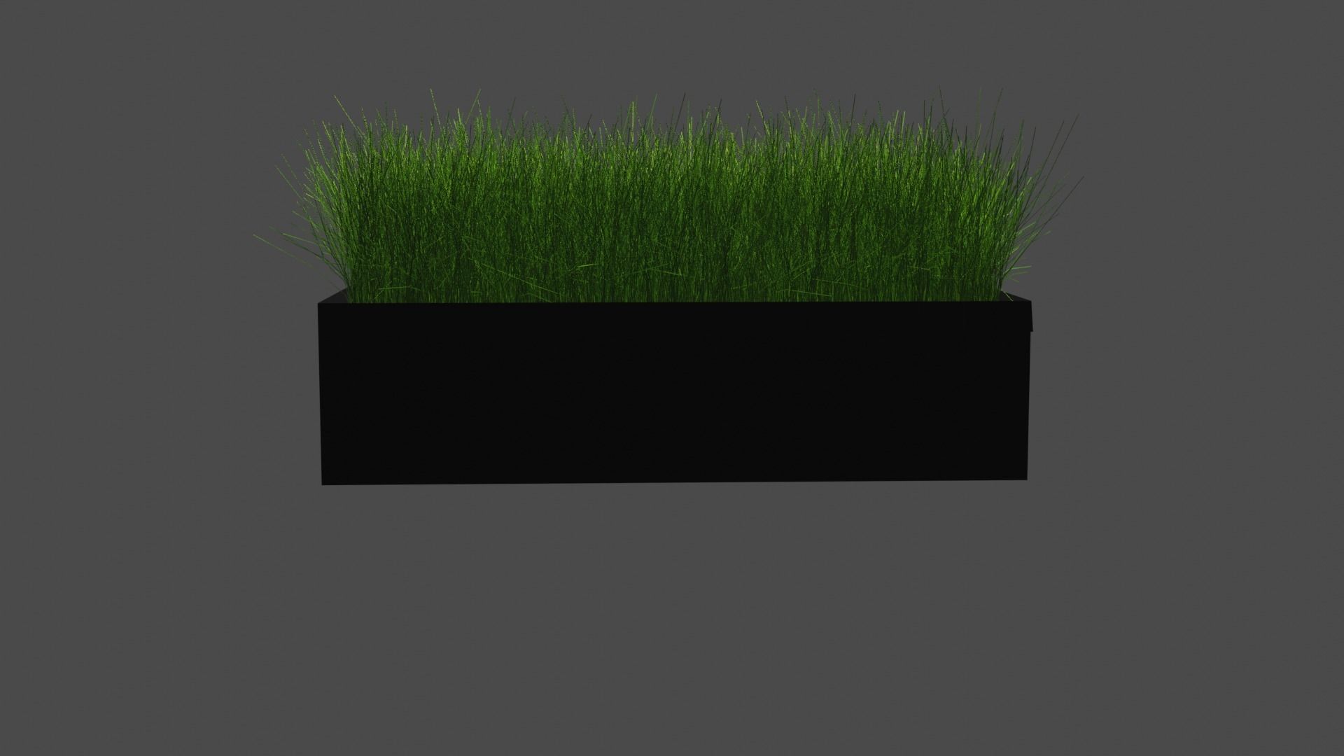 Decorative Grass 3D model_3