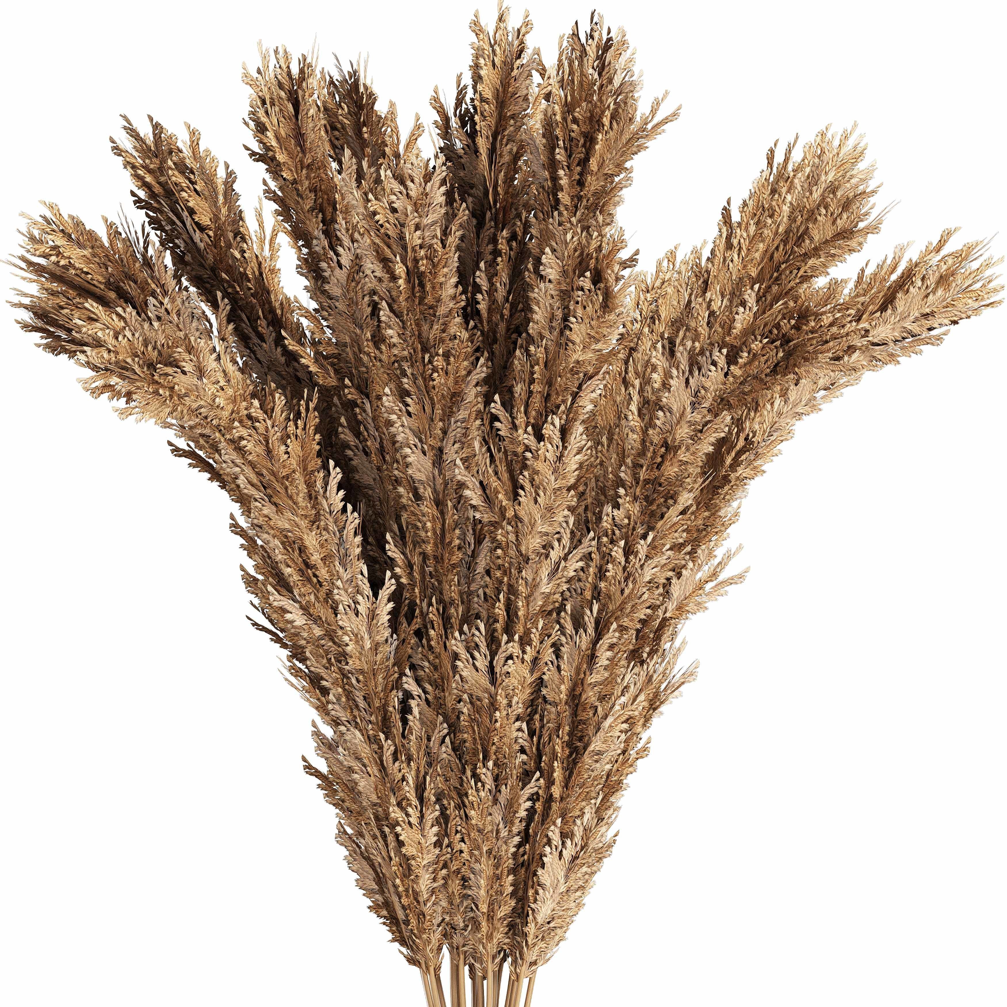 A bouquet of wheat 3D model_2