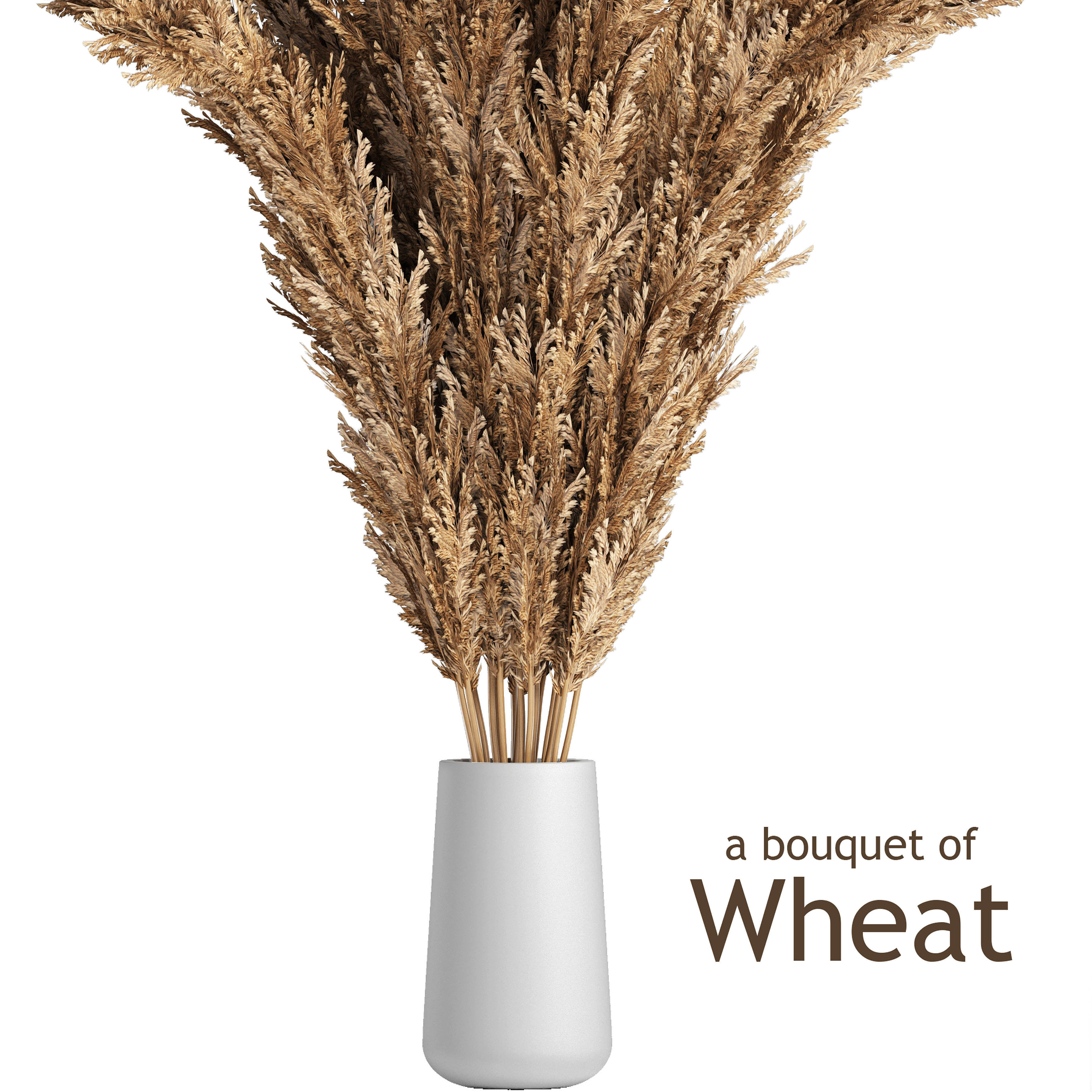 A bouquet of wheat 3D model_3