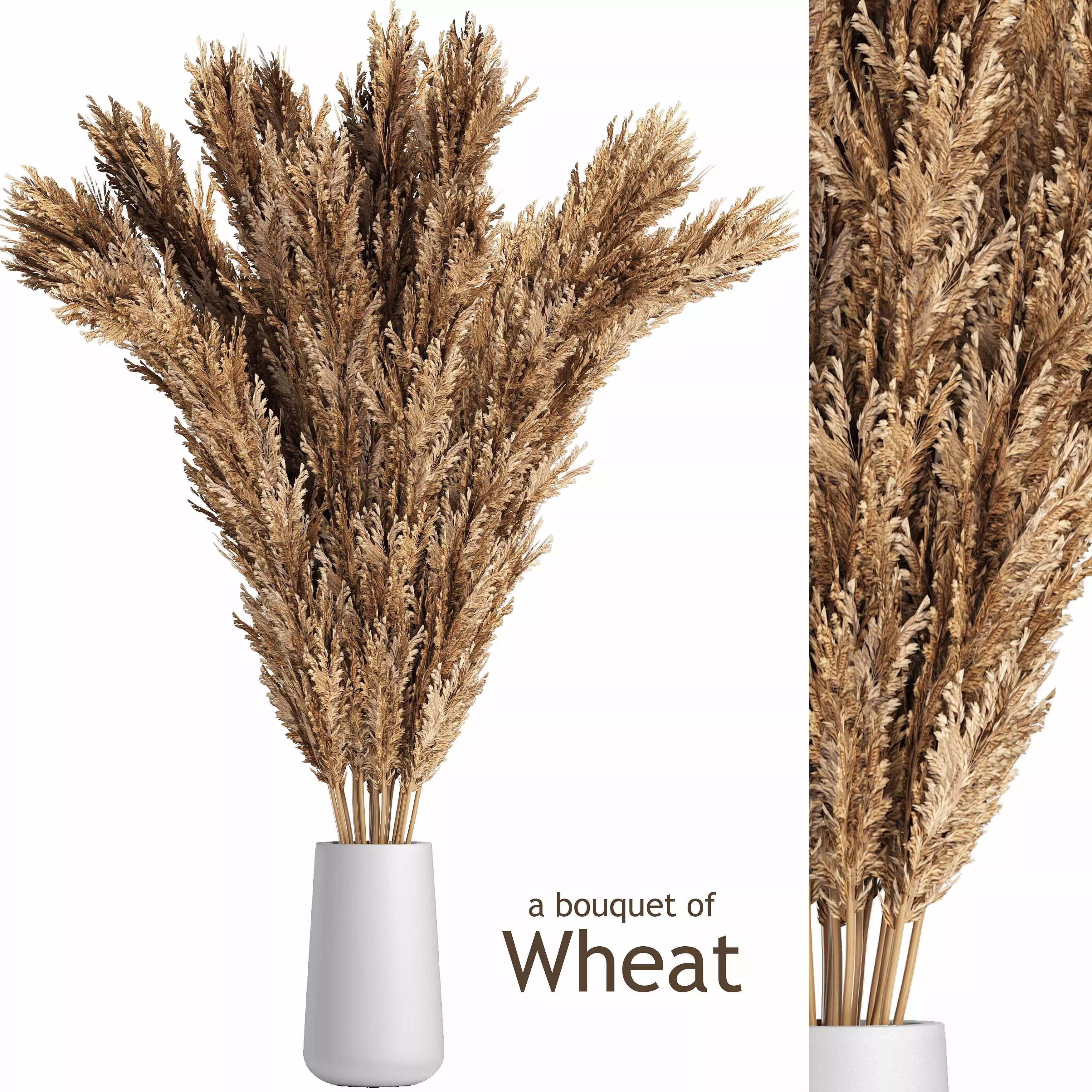 A bouquet of wheat 3D model_0