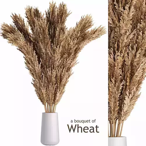 A bouquet of wheat