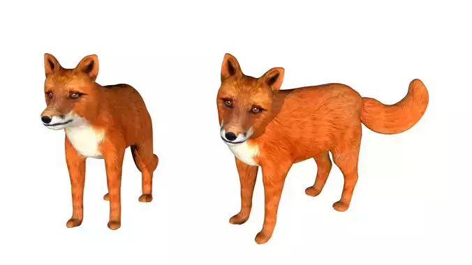 Red Fox Low-poly 3D model